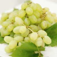 Green Seedless Grapes 1bag/1LB