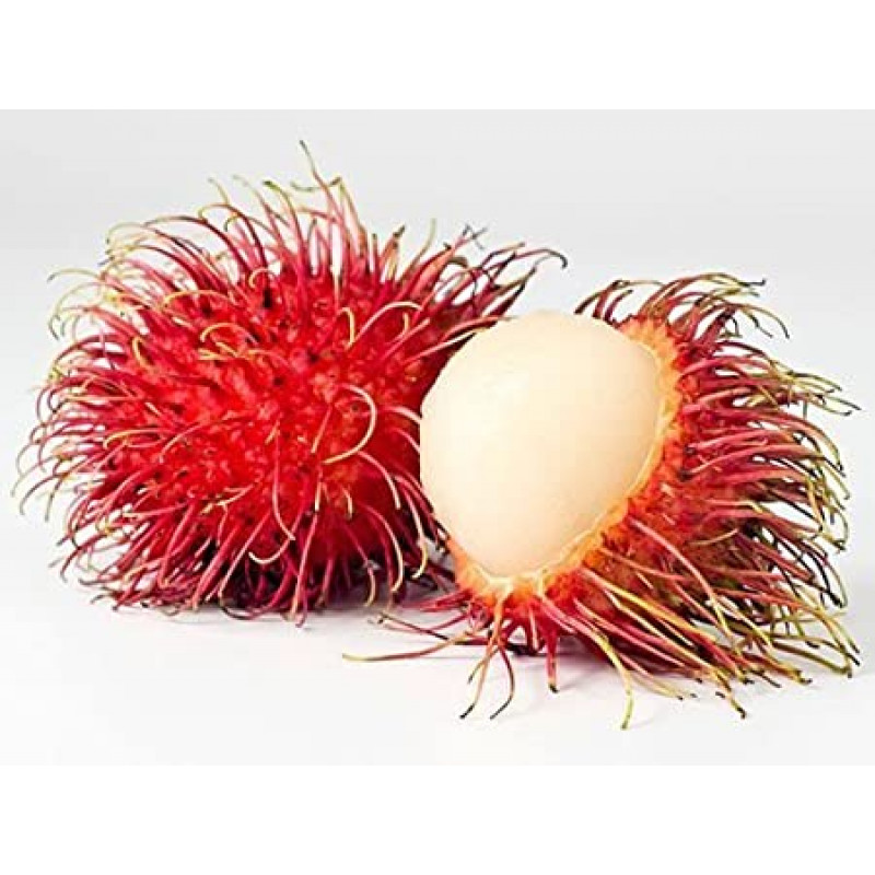 Rambutan (about 1LB)
