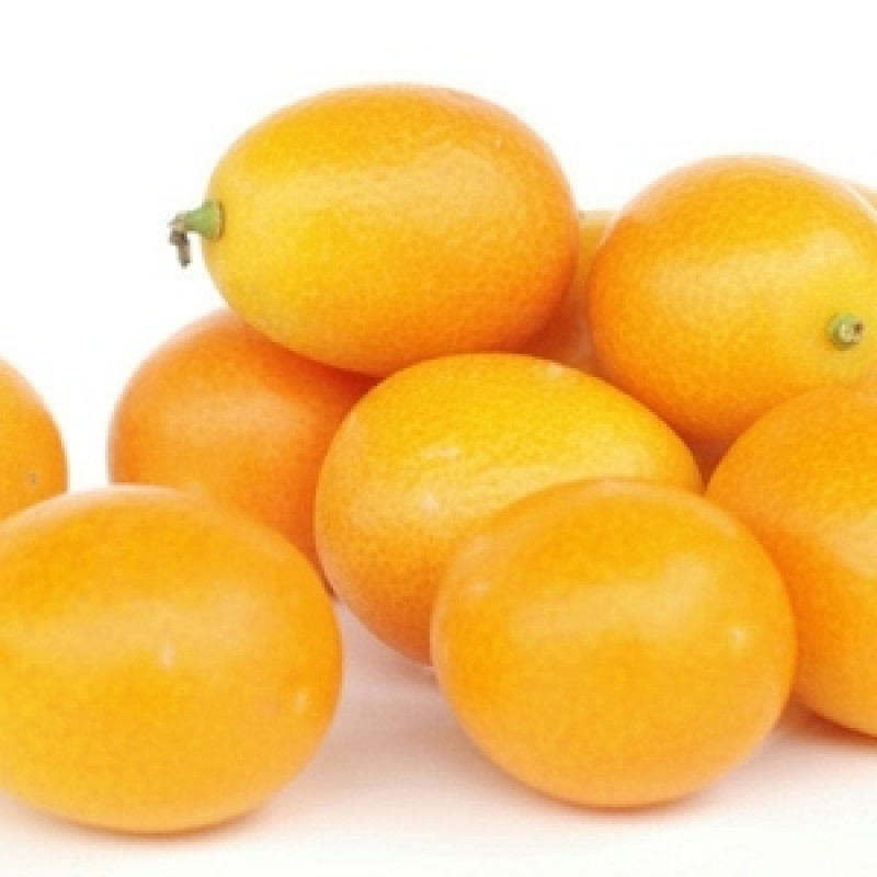 kumquat-1.2lbs