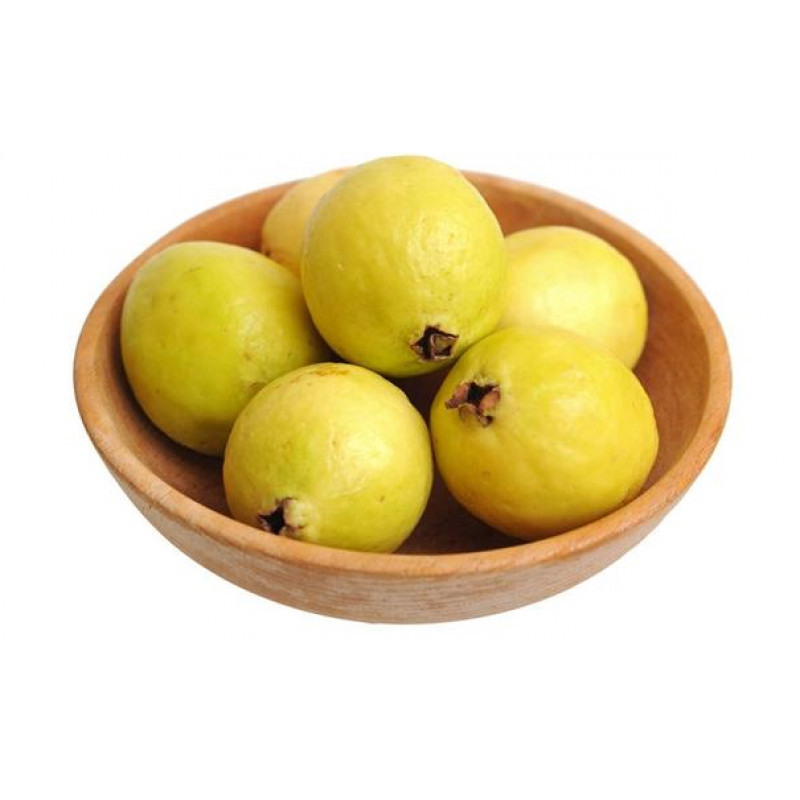 guava-1.2lbs