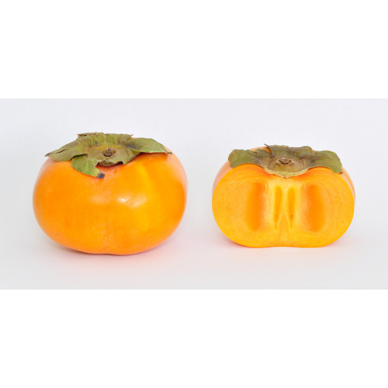 Persimmon -1pc