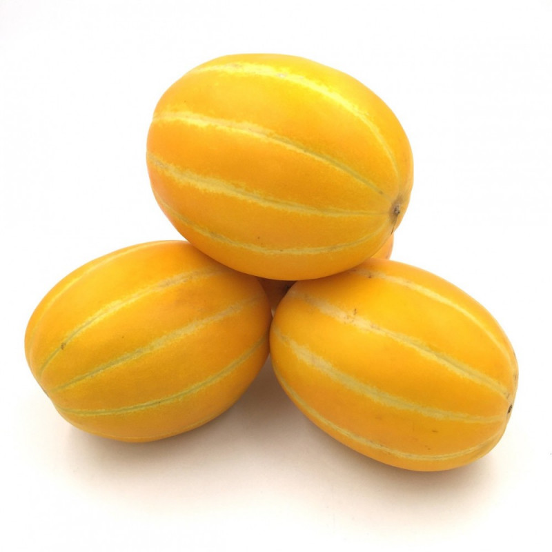 Korean Melon (ea.)