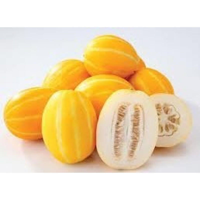 Korean Golden Melon (Box)