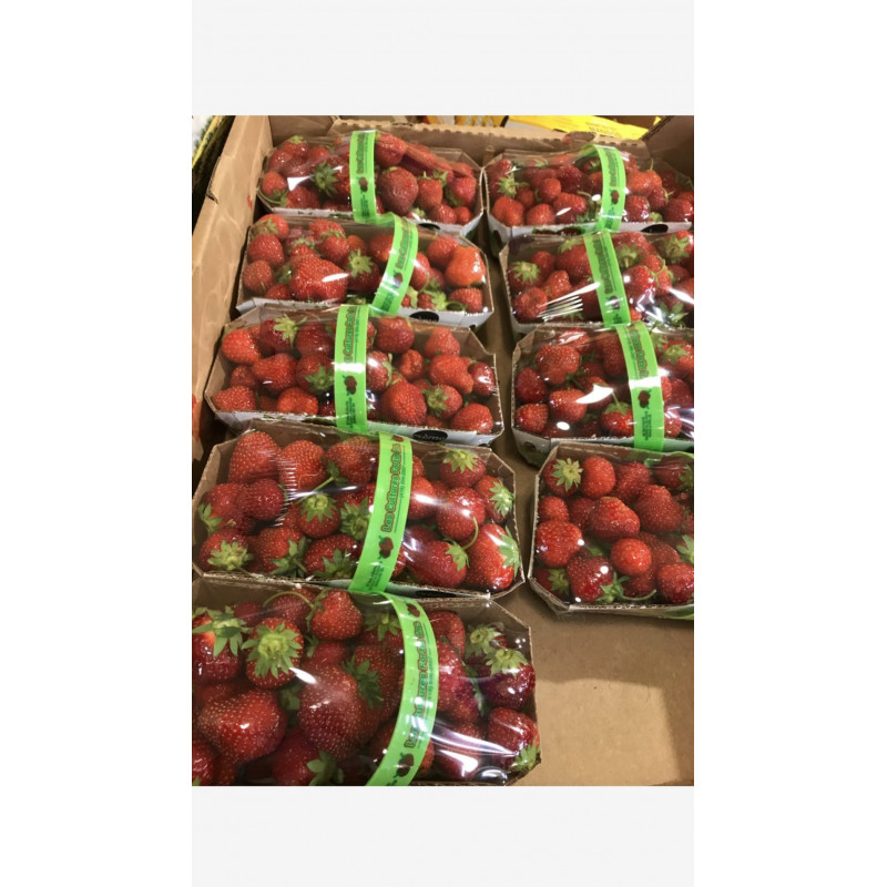 Local fresh strawberries