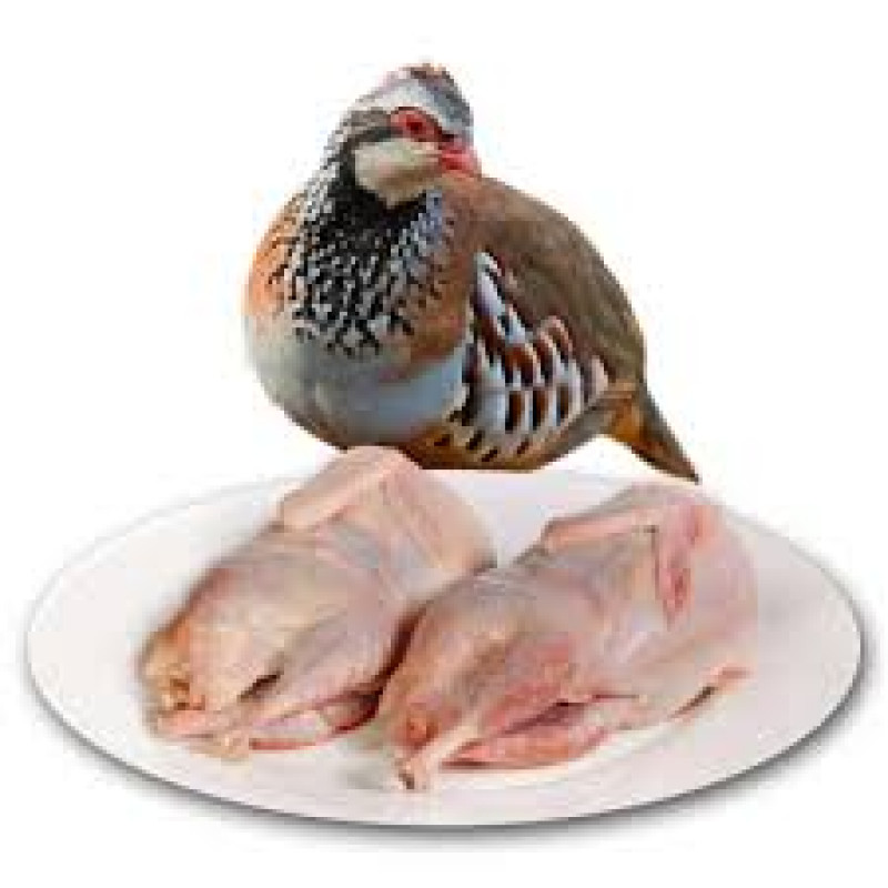 partridge