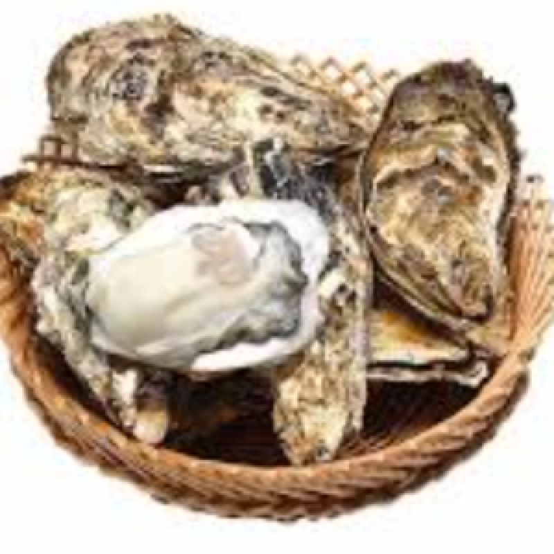 Shelled Oysters-2 pieces