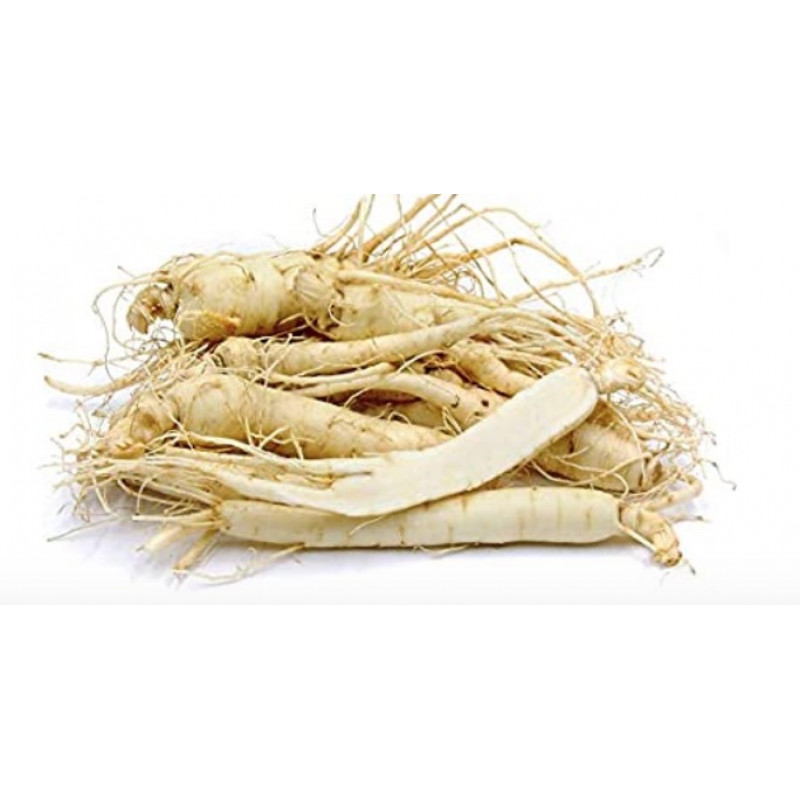 Fresh American Ginseng - about 0.25 lbs per package