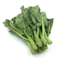 Chinese Broccoli-1lb