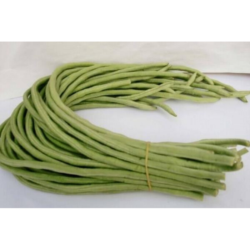 LONG BEANS-1.2LBS