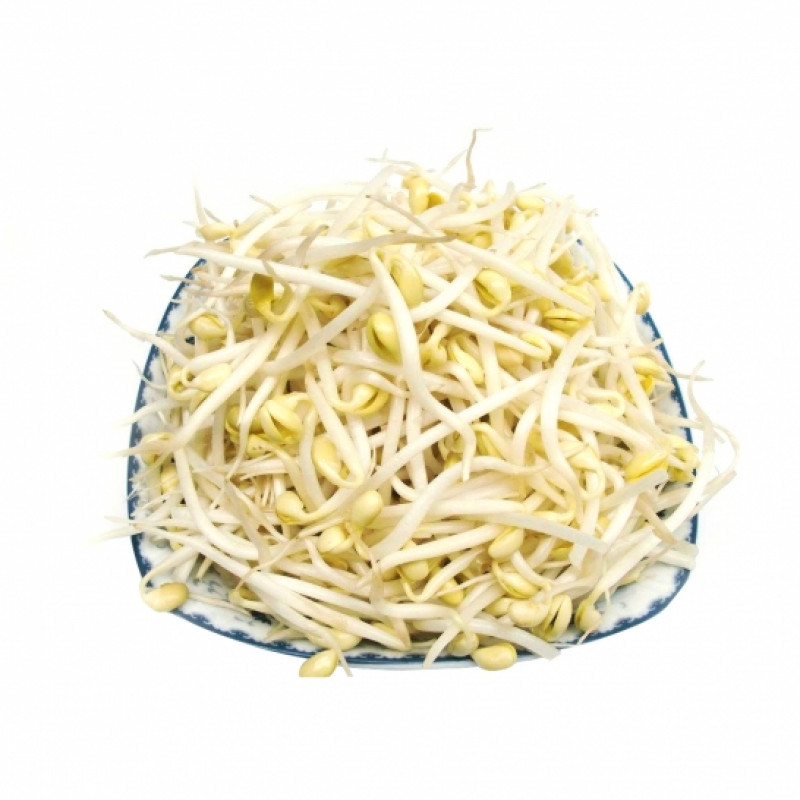Soy sprouts