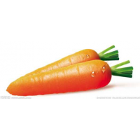 Carrots - 3pcs