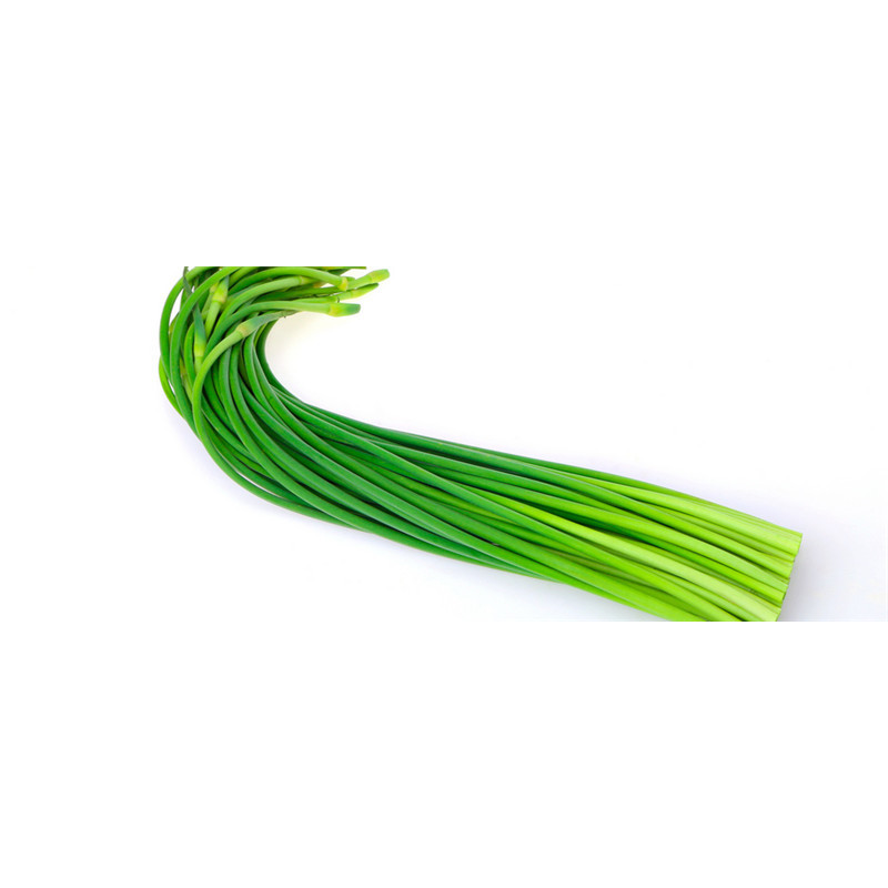 Garlic sprouts - 2 pcs