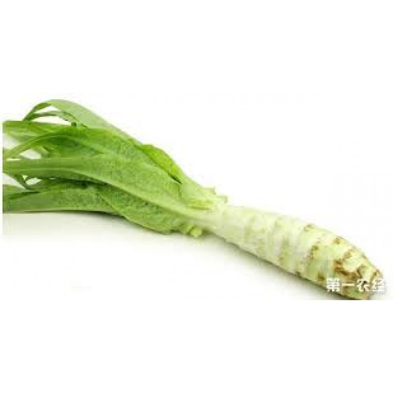 stem lettuce - 2 piece