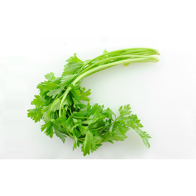 parsley-1.2LBS