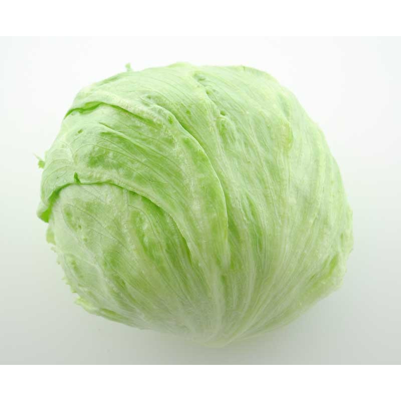lettuce-1 piece
